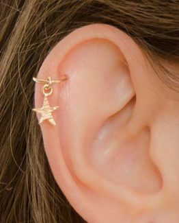 Star Helix Earring