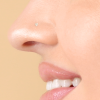 Silver Star Nose Stud